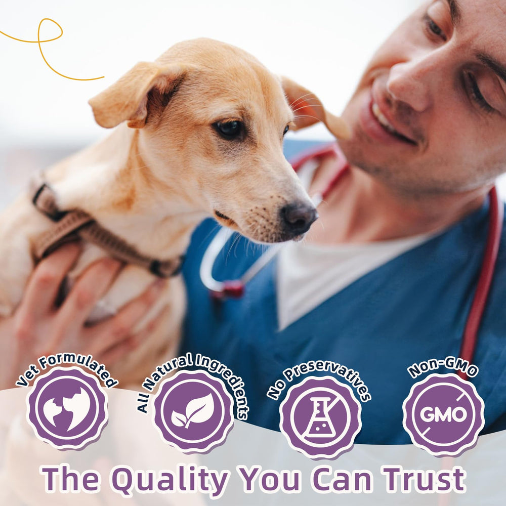 Confort digestif avec ZEBORA probiotiques pour chien, idéal pour routine quotidienne.