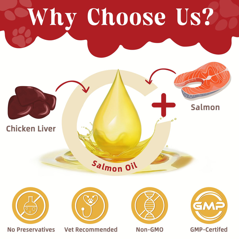 ZEBORA probiotiques chien – aide à absorber les nutriments et favorise la digestion.