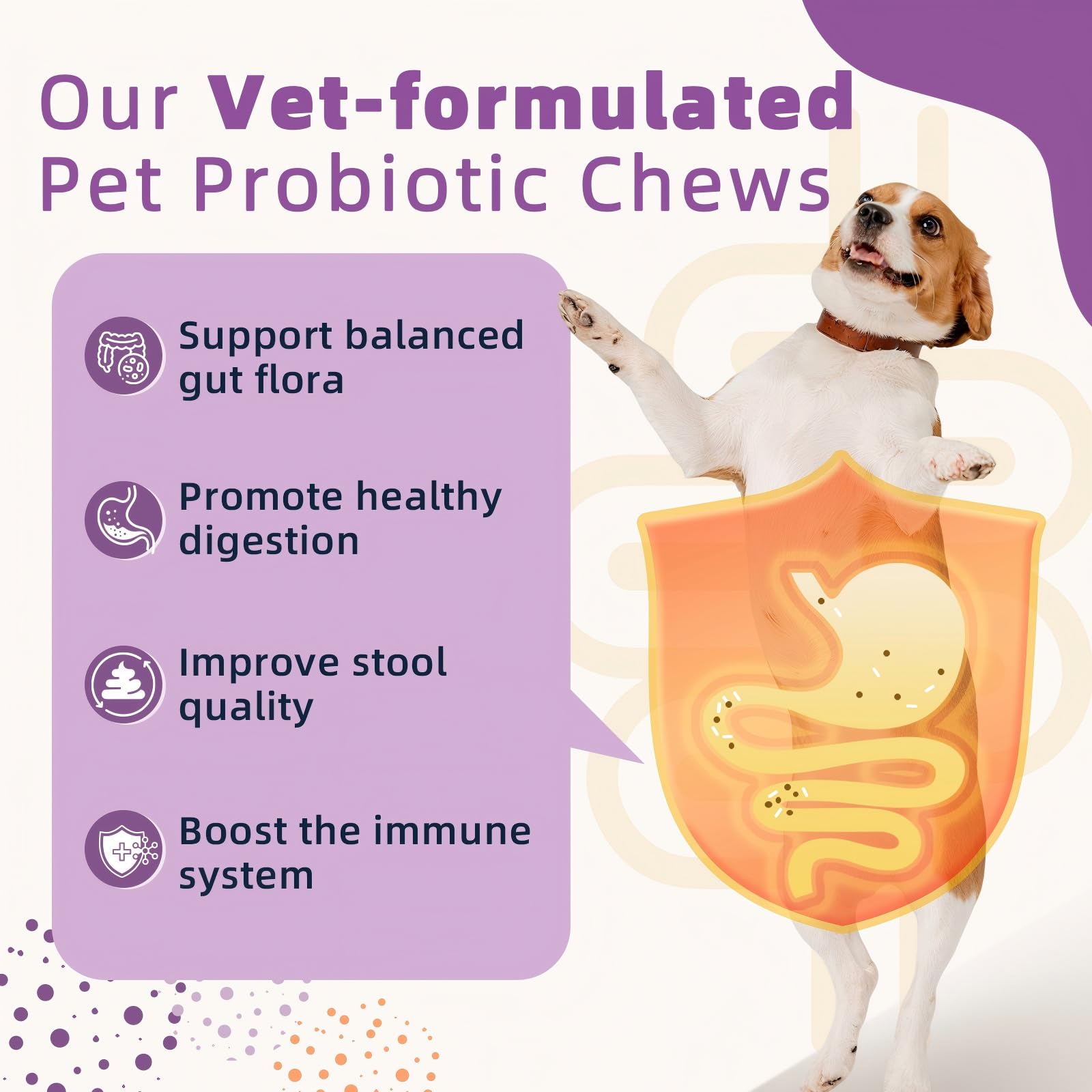 Emballage ZEBORA probiotiques pour chien posé sur table, source naturelle pour l'équilibre digestif.