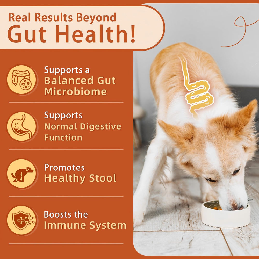 Gommes ZEBORA Probiotics au potiron et poulet, goût apprécié des chiens
