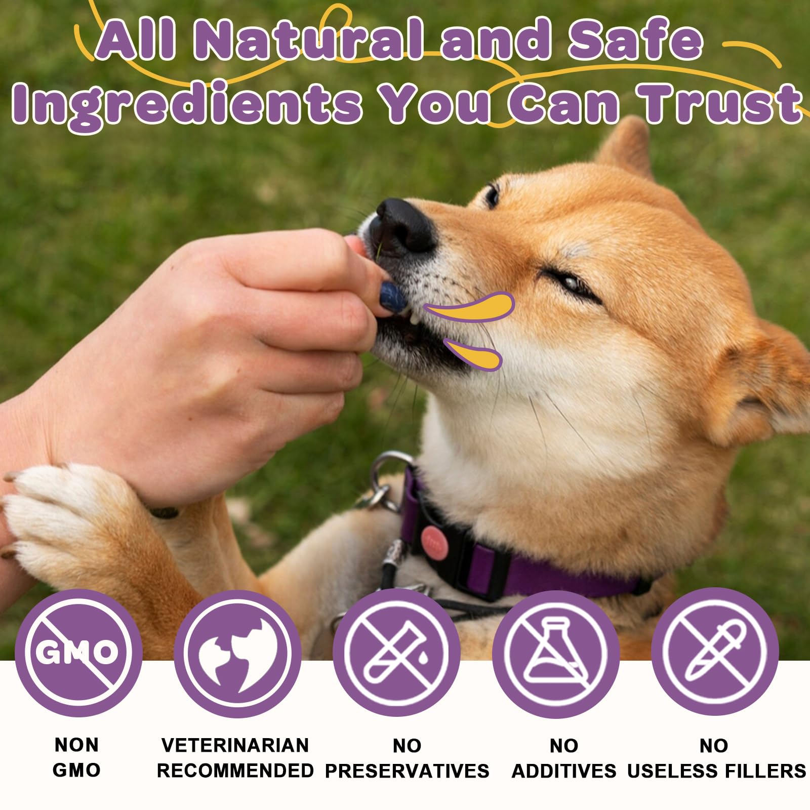 ZEBORA Probiotiques chien, soutien potentiel de digestion et immunité.