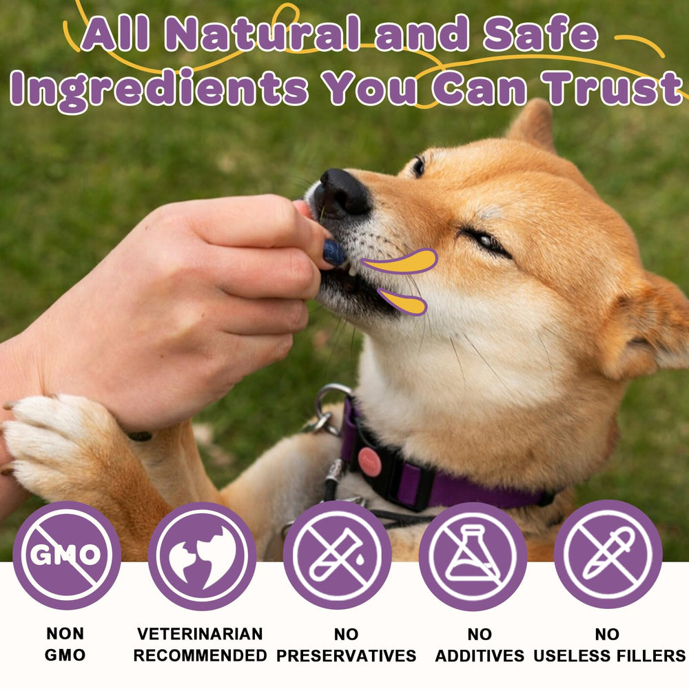 ZEBORA Probiotiques chien, soutien potentiel de digestion et immunité.