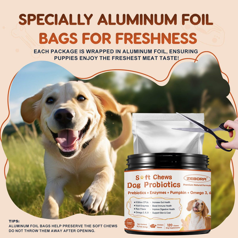 ZEBORA Probiotiques – chien au pelage brillant et heureux