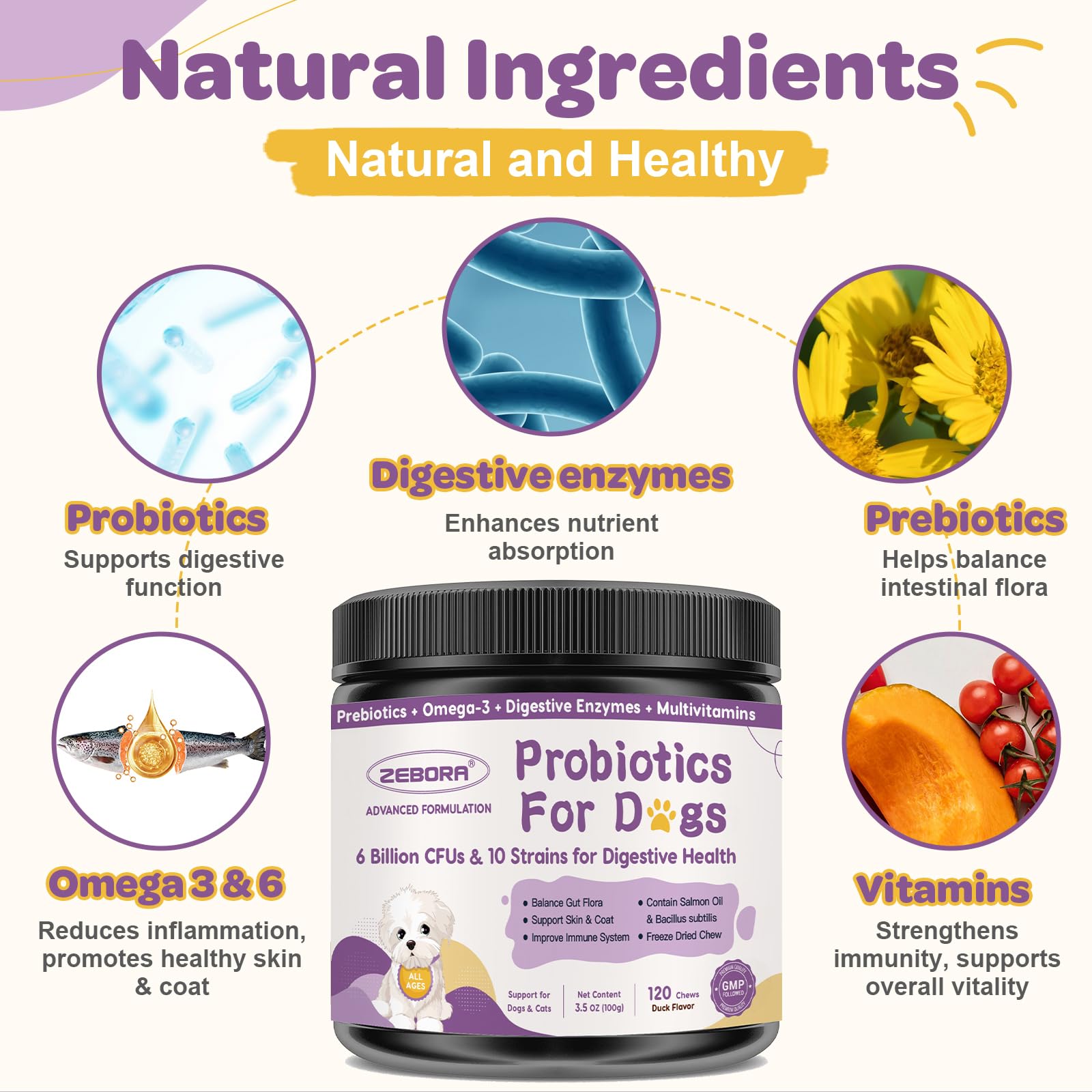 ZEBORA Probiotiques chien, prébiotiques et enzymes digestives améliorent l’absorption.