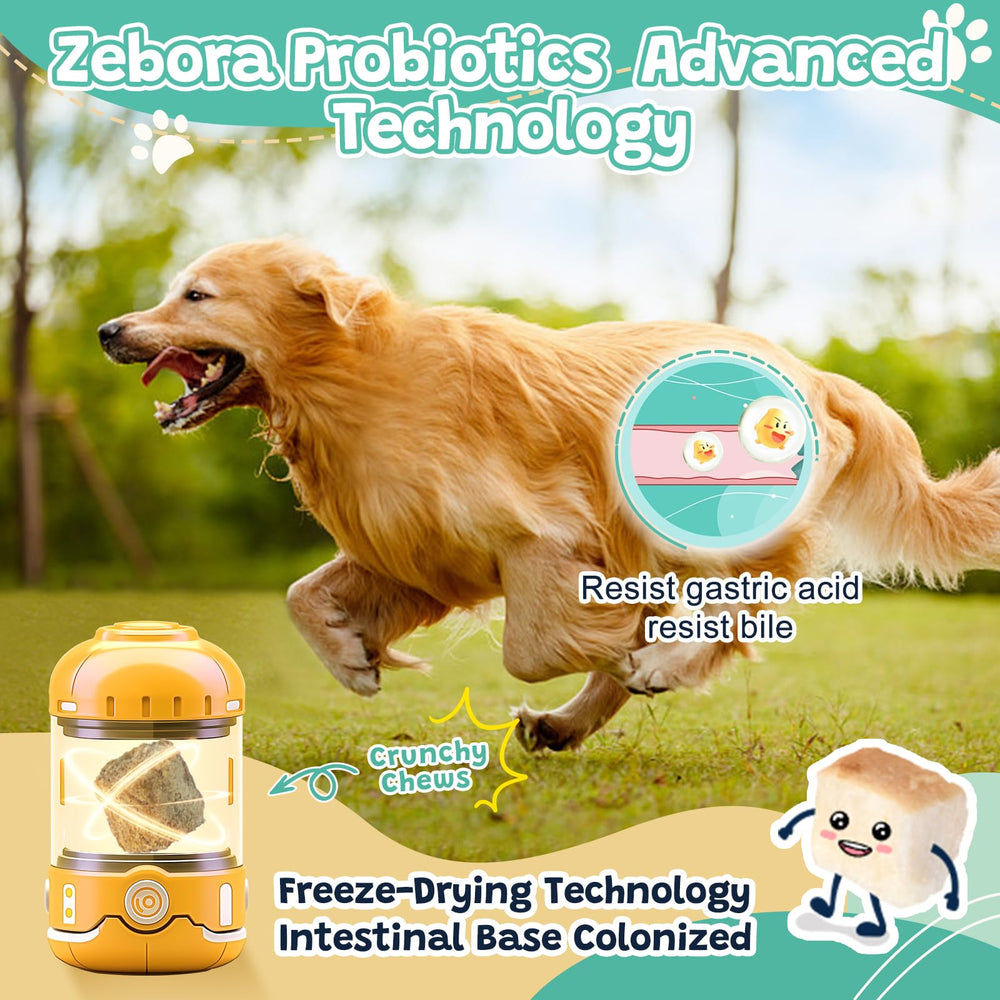 ZEBORA Probiotiques pour chiens – équilibre intestinal et soutien digestif potentiel.