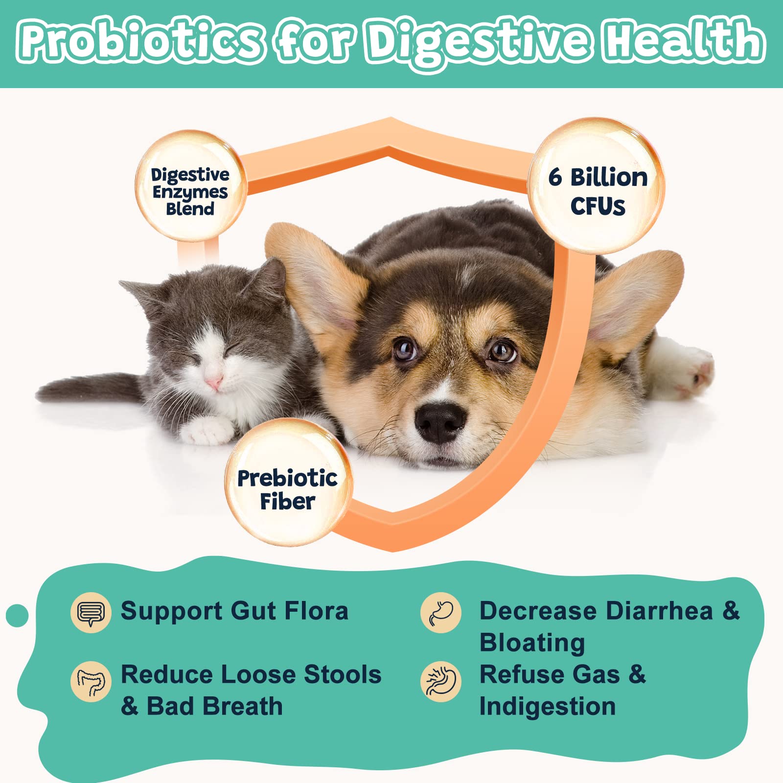 ZEBORA Probiotiques pour chiens – peau et poil sains grâce aux oméga.