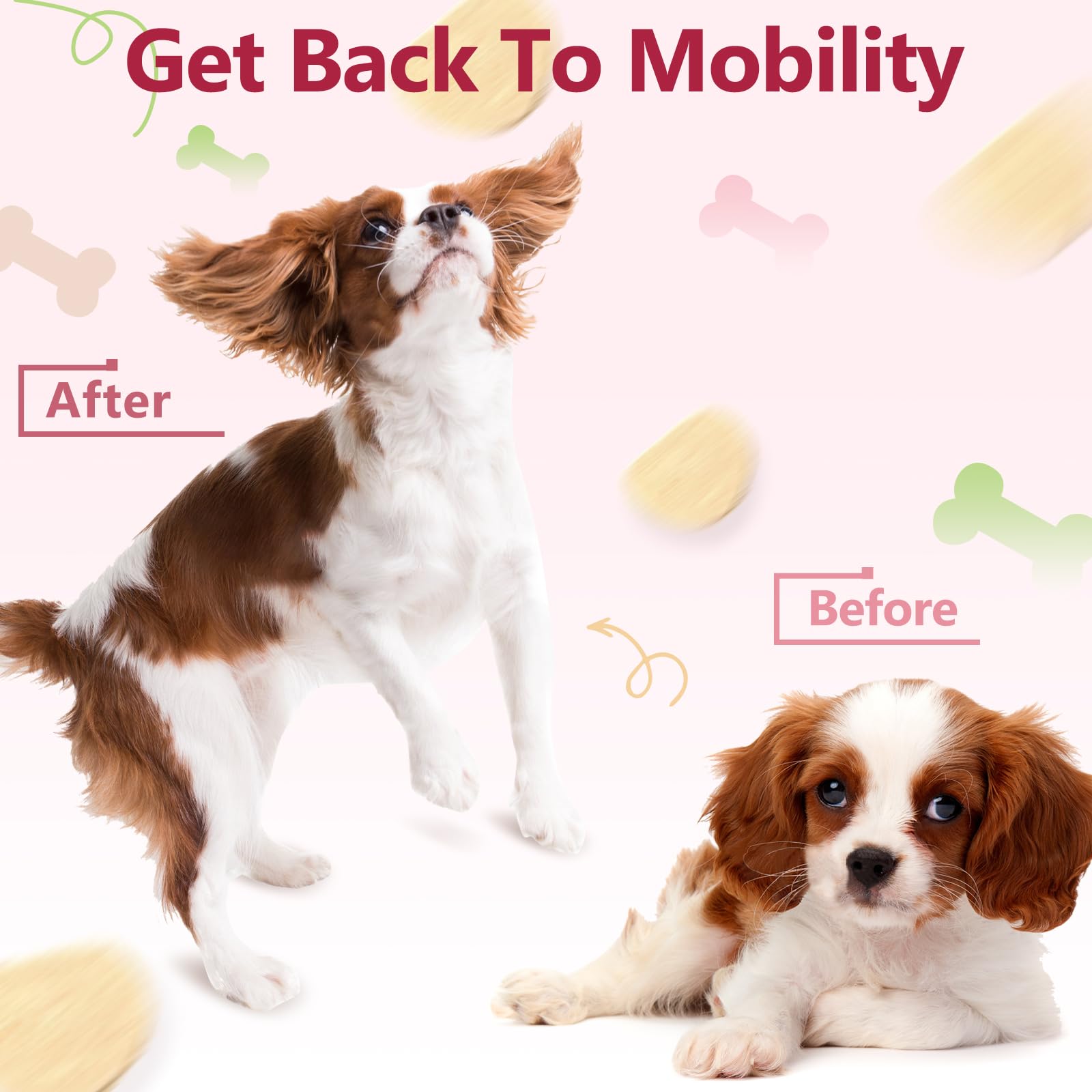 Friandises Zebora sans additifs artificiels, pour chien sain.