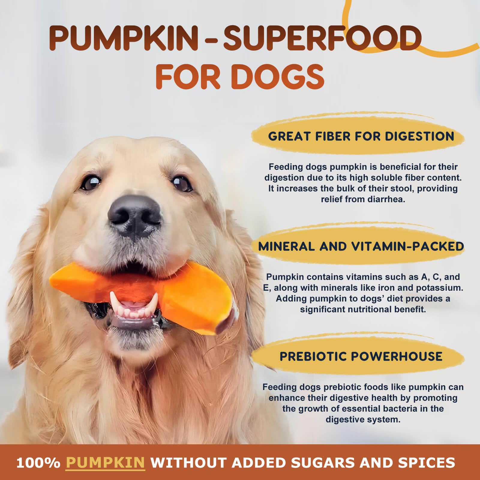 ZEBORA Système digestif — équilibre intestinal facilité par enzymes.