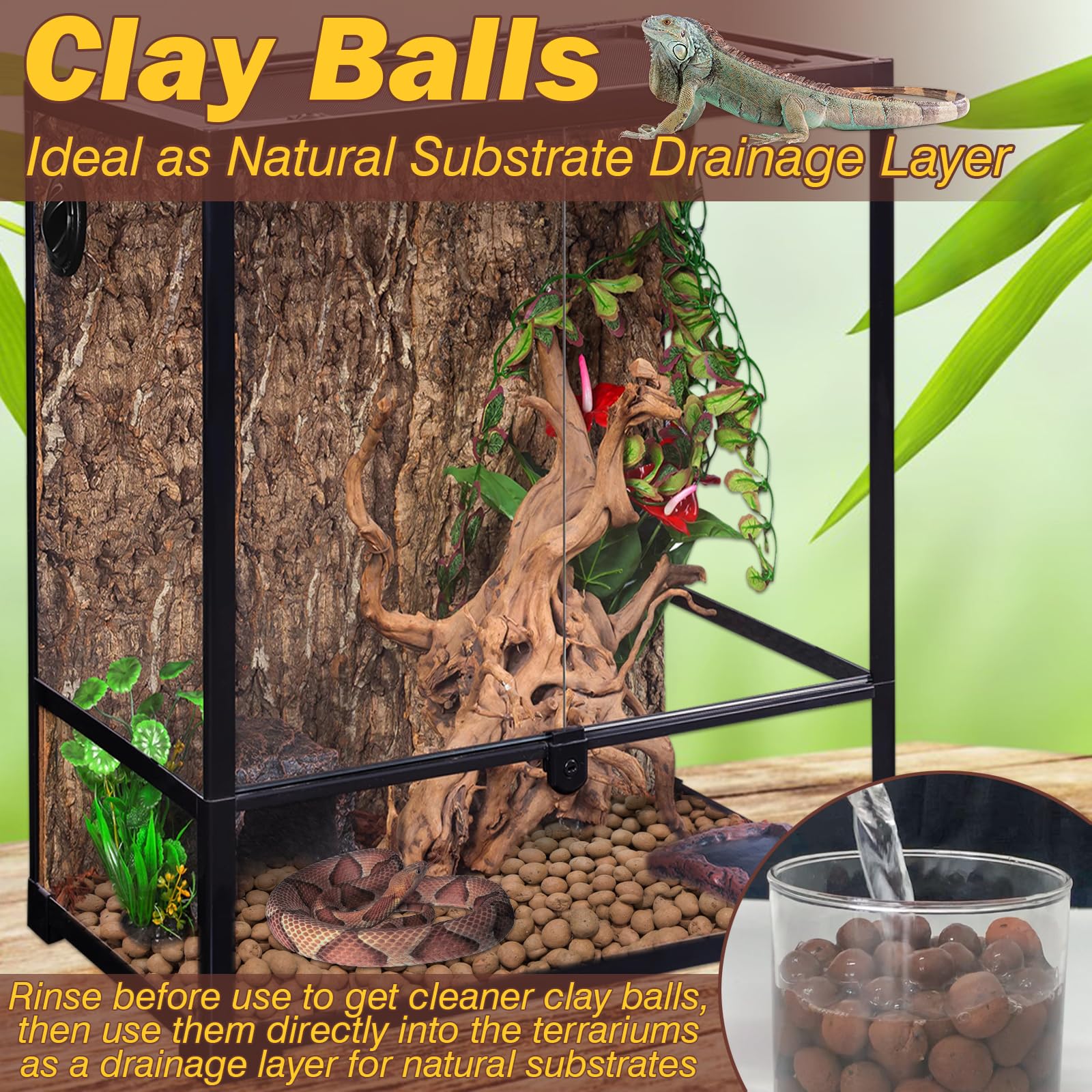 Base en balles d'argile expansée ZeeDix pour humidité durable dans le terrarium.