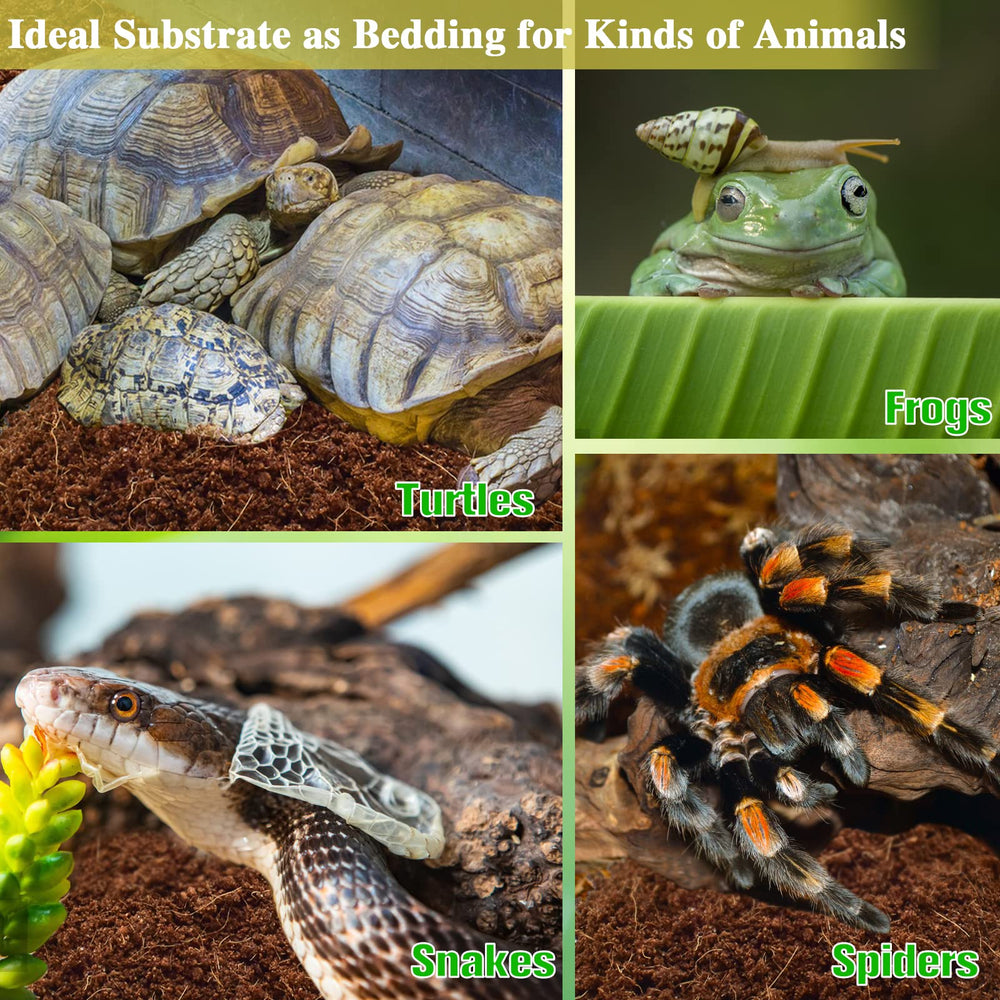ZeeDix convient aux reptiles dans un terrarium équipé du substrat en fibre de coco.
