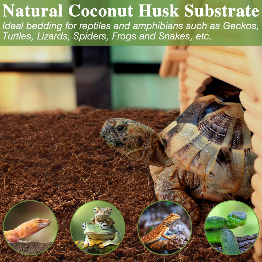 ZeeDix Substrat Coco Fibre 10L, utilisation polyvalente pour reptiles et invertébrés.