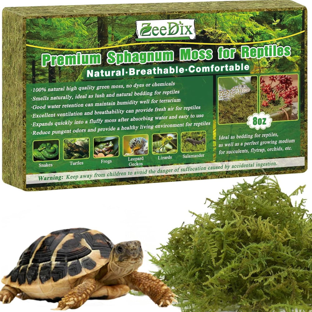  ZeeDix Mousse Sphagnum 8oz: bloc terrarium, humidité naturelle.