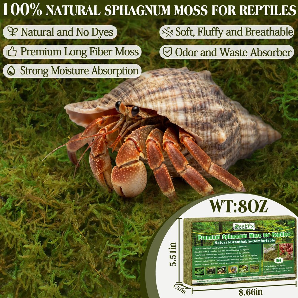  ZeeDix Mousse Sphagnum 8oz: litière naturelle pour reptiles et terrariums.