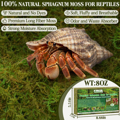  ZeeDix Mousse Sphagnum 8oz: litière naturelle pour reptiles et terrariums.
