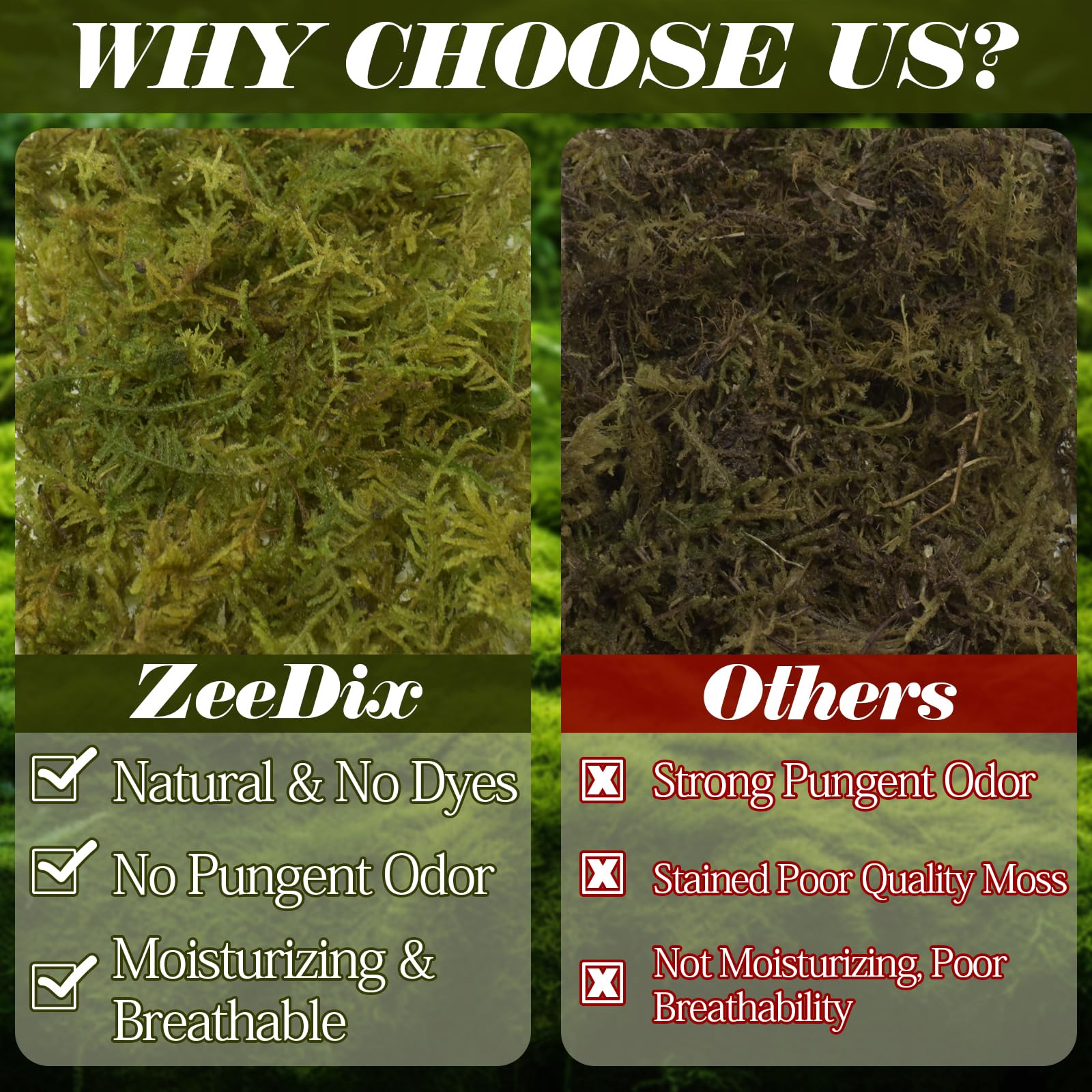  Mousse compressée ZeeDix 8oz: substrat-plantes pour orchidées et carnivores.