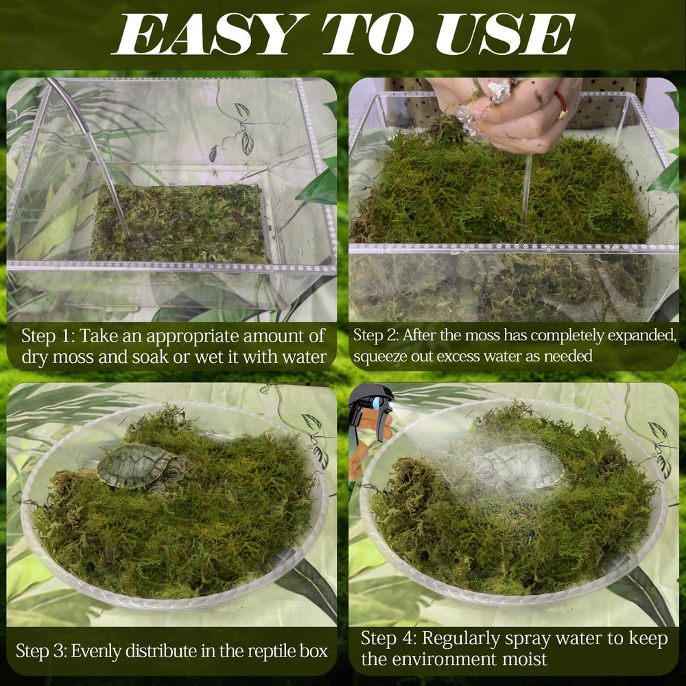  Bloc mousse ZeeDix 8oz: humidité constante pour terrariums et jardins.