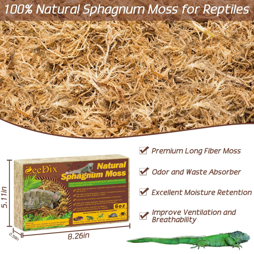 ZeeDix Mousse sphagnée longue fibre: absorption efficace d'humidité pour terrarium sec
