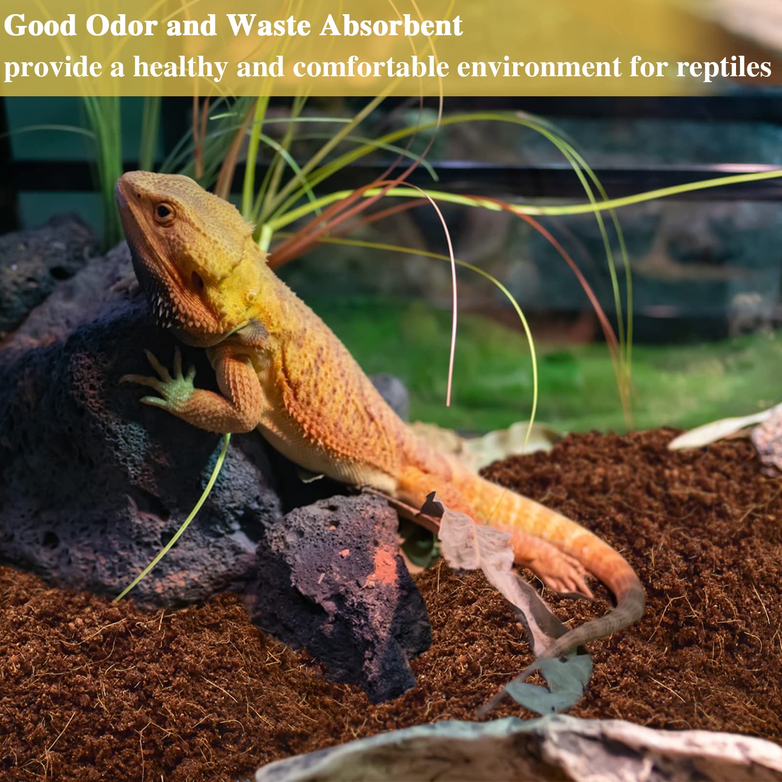 Substrat ZeeDix pour reptiles et amphibiens, usage polyvalent