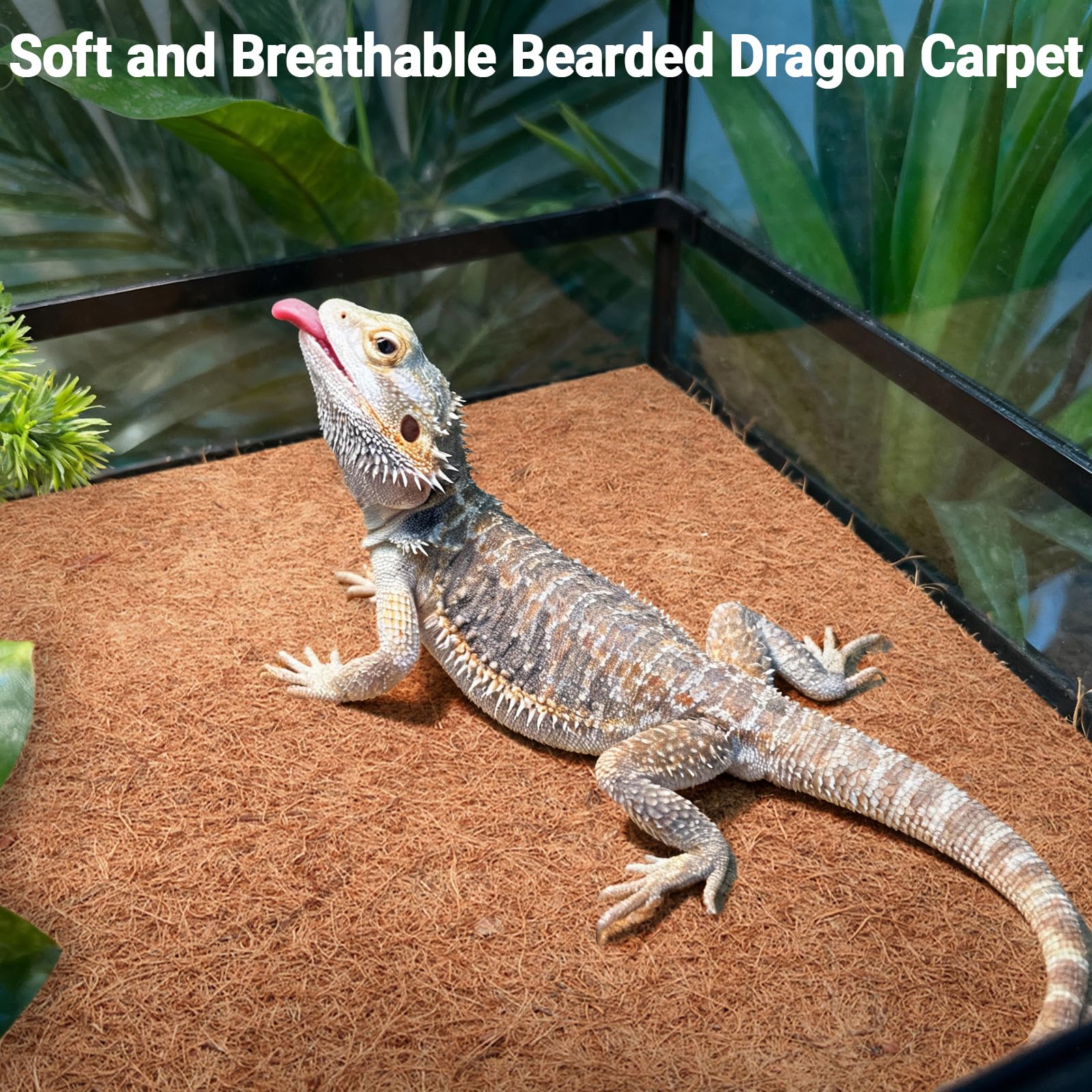 ZeeDix Tapis coco naturel, surface respirante favorisant le confort du reptile.