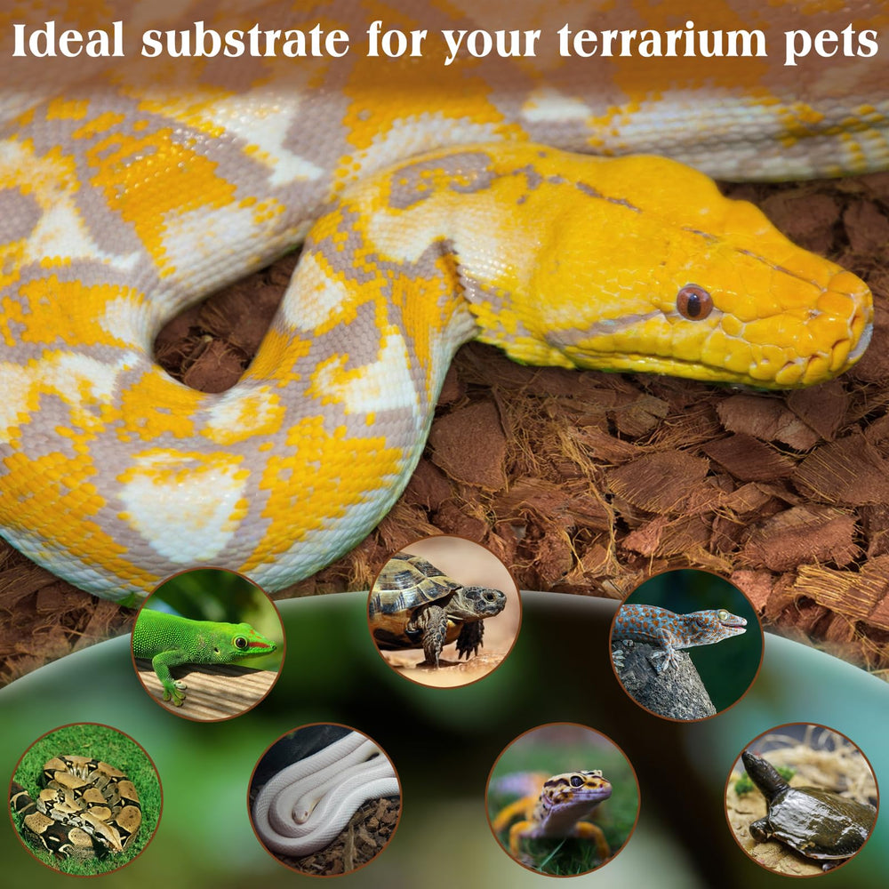 Terrarium équipé du substrat coco Zeedix pour reptiles et amphibiens.