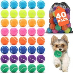 Zeefpod balles tennis chien 2-pouces, lot idéal pour plusieurs chiens