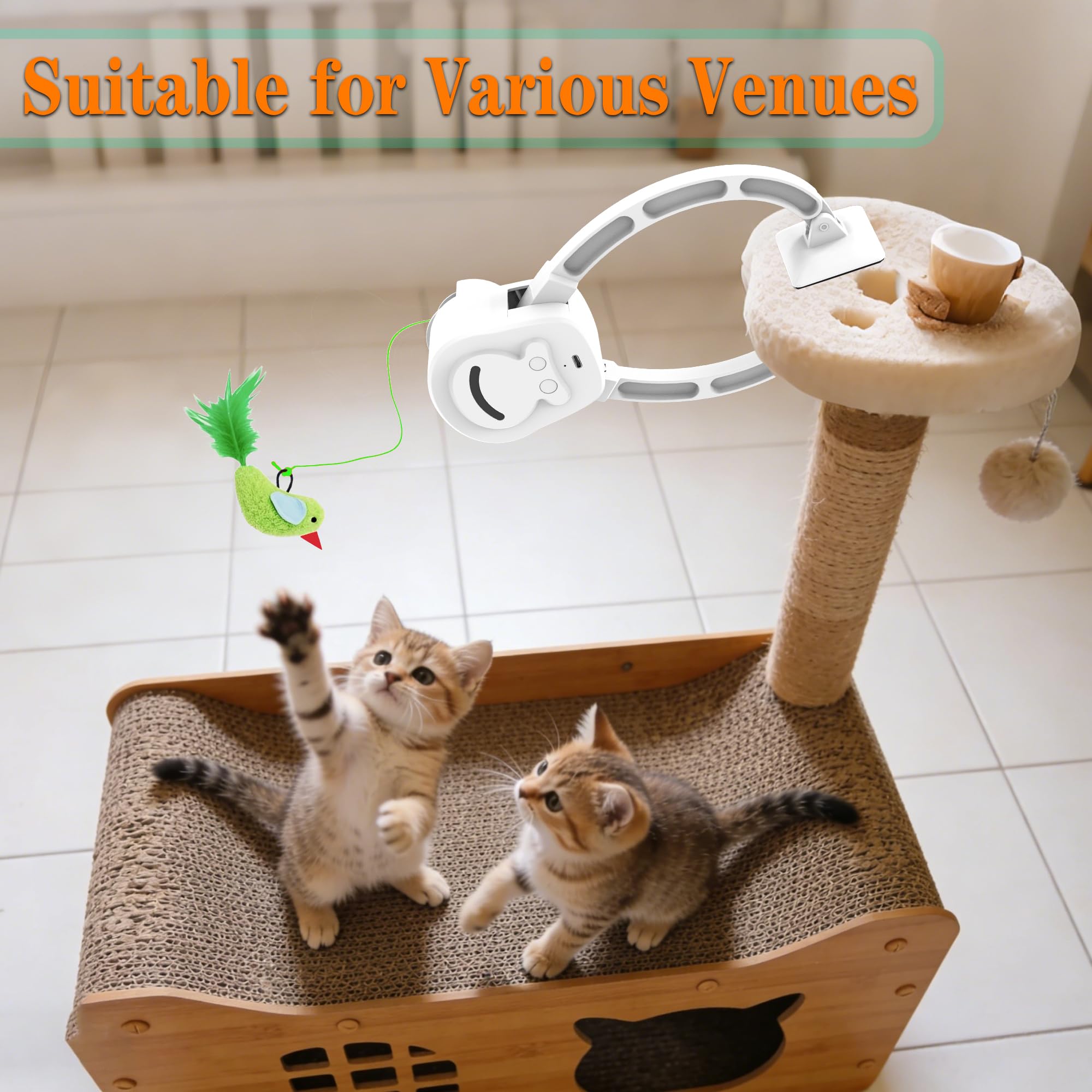 ZEHEXO Utilisation pratique: jouet sûr et silencieux pour chats timides et adultes.