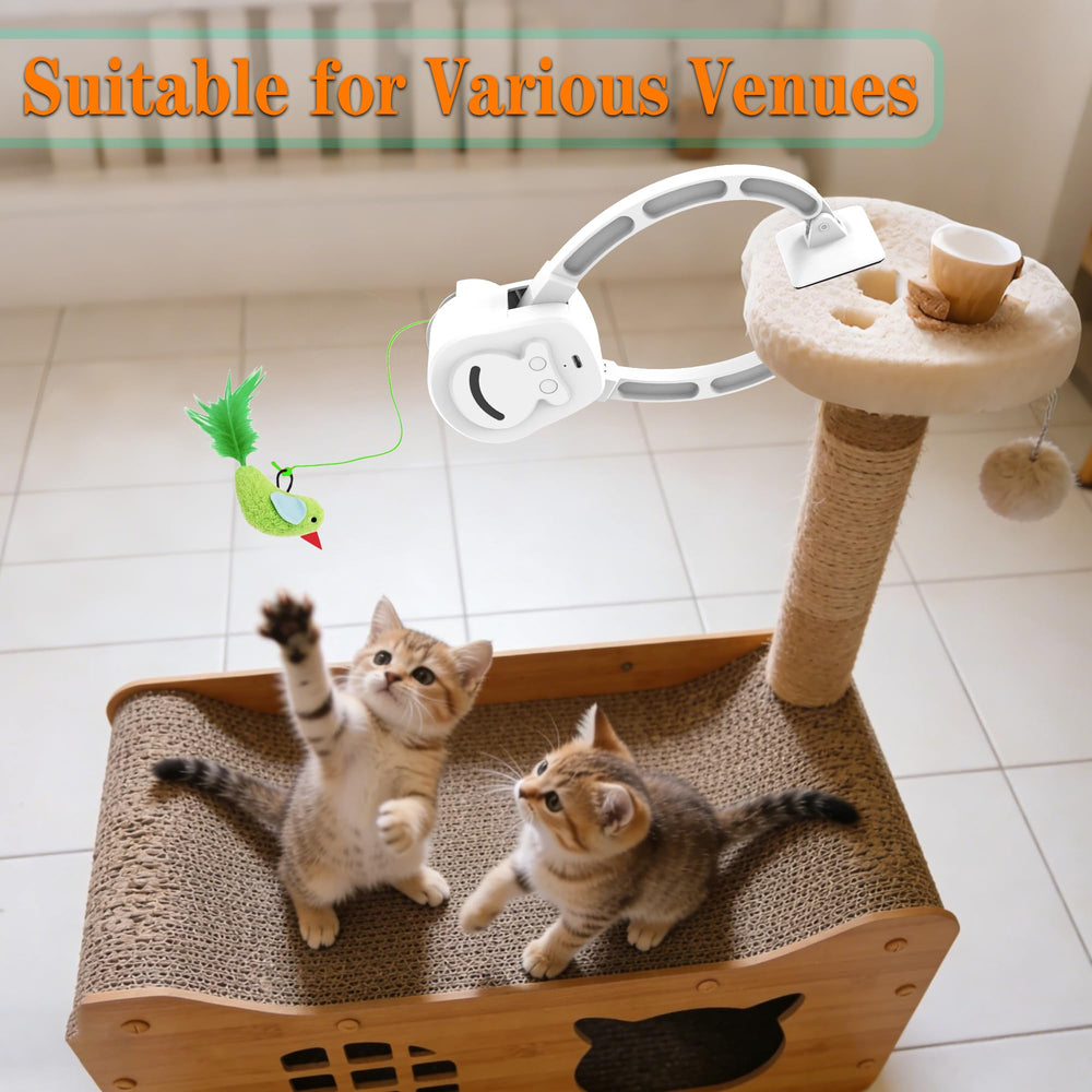 ZEHEXO Utilisation pratique: jouet sûr et silencieux pour chats timides et adultes.