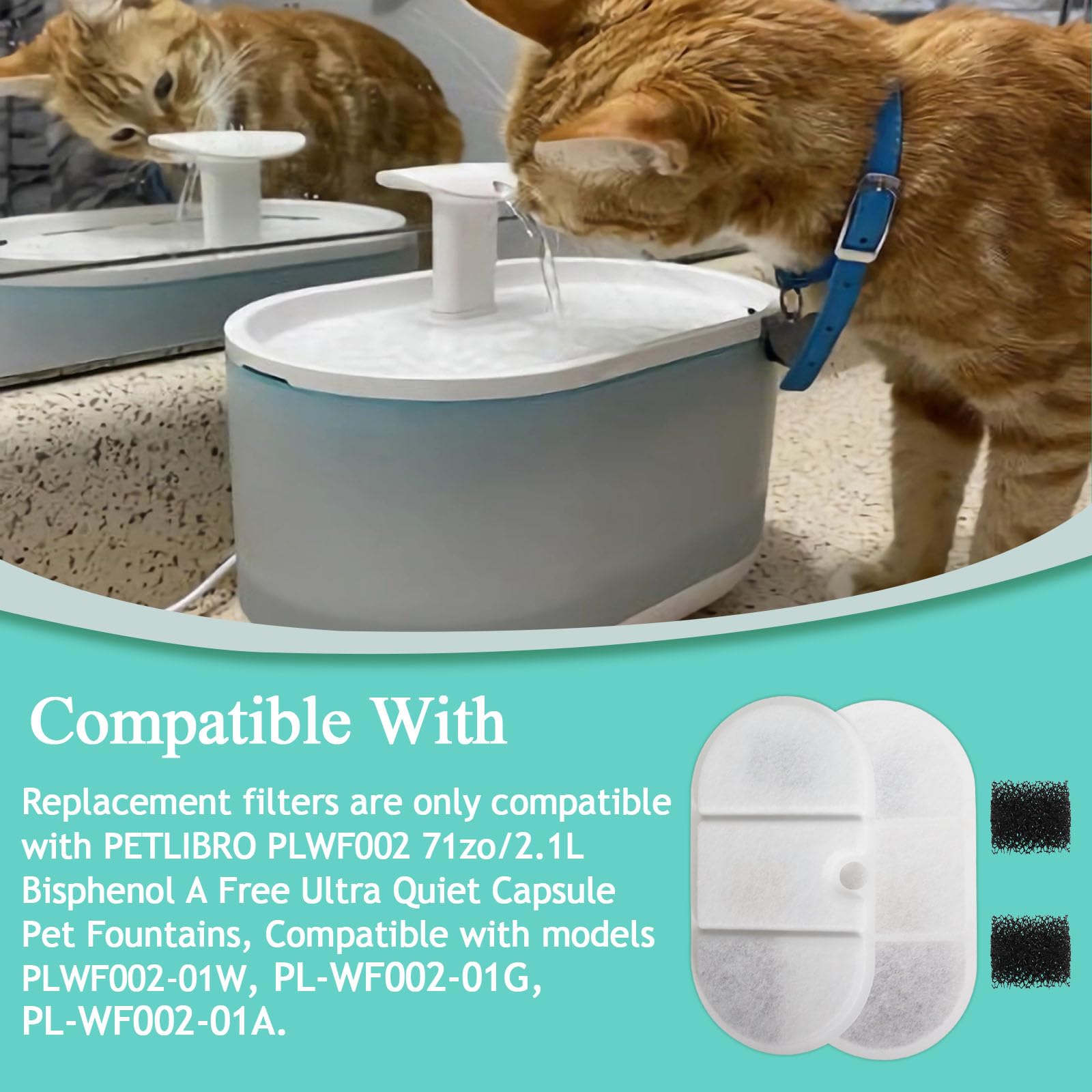 Zejoot pré-filtre et éponge inclus pour filtration complète.