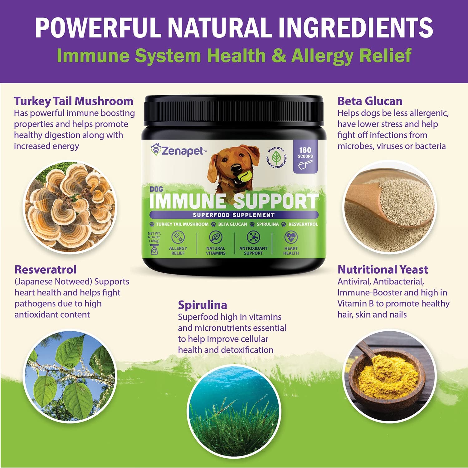 Ingrédients clés: bêta-glucane, spiruline et champignon queue-de-dinde pour soutenir le bien-être.