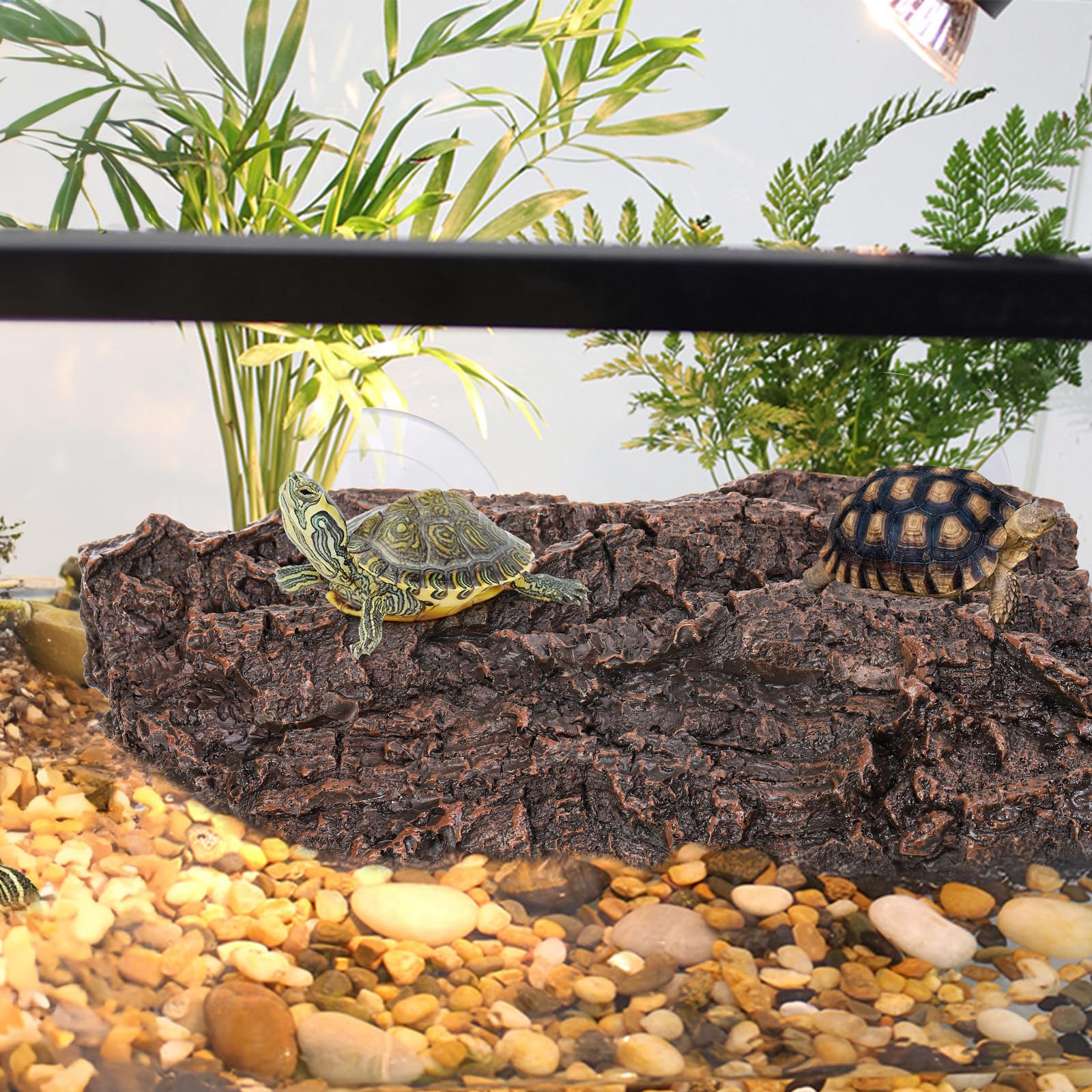 ZENFUN Accessoire terrarium tortue polyvalent: s'adapte à différents niveaux d’eau.