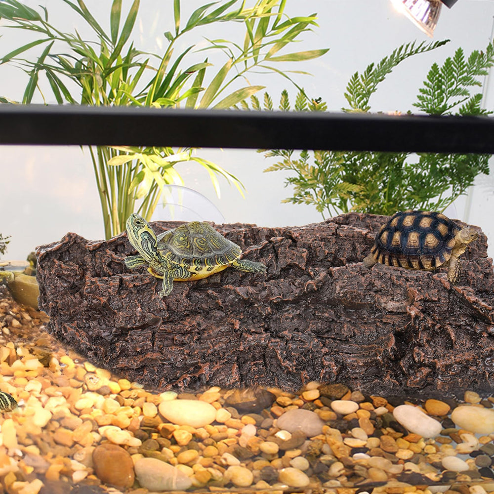 ZENFUN Accessoire terrarium tortue polyvalent: s'adapte à différents niveaux d’eau.