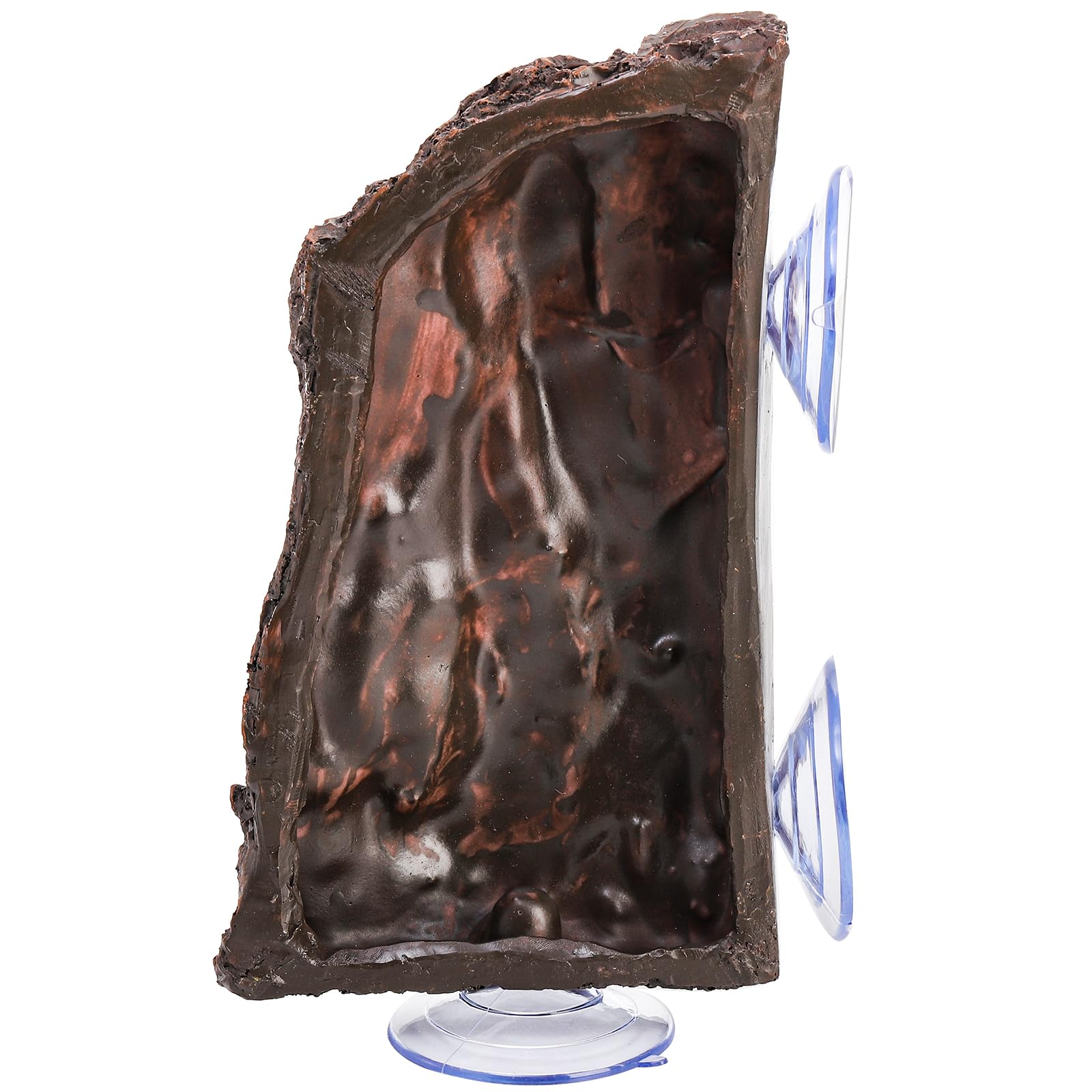 ZENFUN Dock tortue terrarium stable: emplacement repos sûr et pratique.