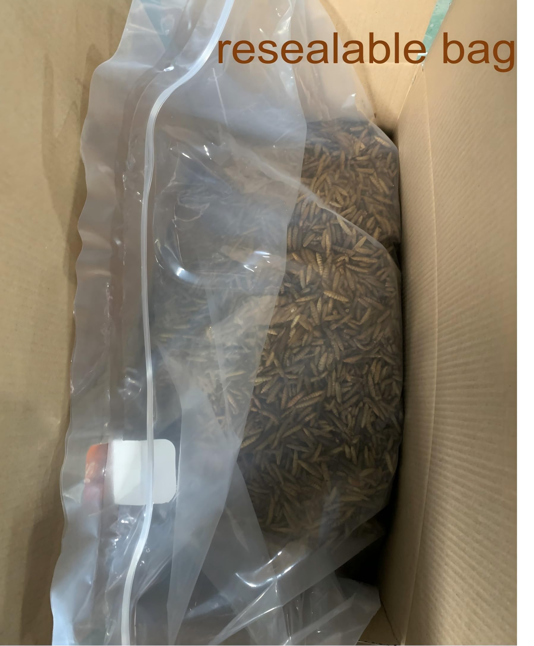 zenithworks larves-mouche-soldat-noire-emballage-zippe: emballage refermable pour stockage facile.