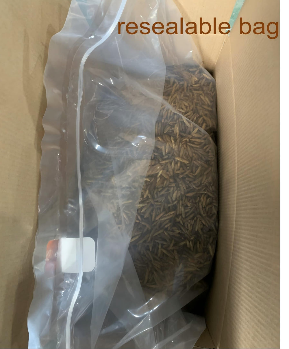 zenithworks larves-mouche-soldat-noire-emballage-zippe: emballage refermable pour stockage facile.