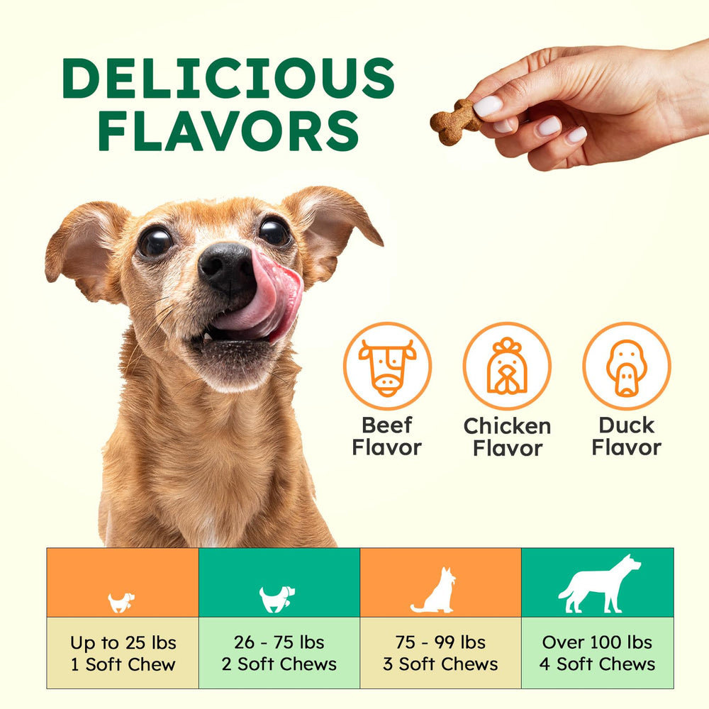 ZENO Chien – soutien digestion grâce à des probiotiques et fibres.