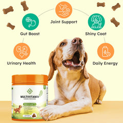 ZENO Chien – peau et poil plus sains avec des nutriments essentiels.