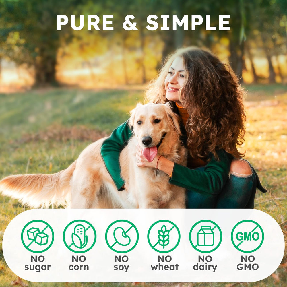 ZENO Chien – usage adapté pour chiots avec sécurité et plaisir.