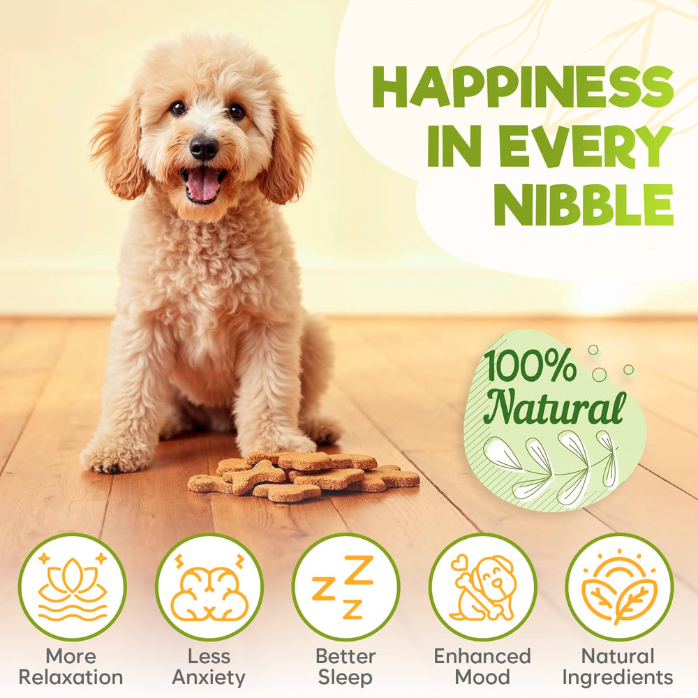 ZENO friandises calmantes au poulet sur plan de dégustation pour chien