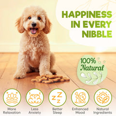 ZENO friandises calmantes au poulet sur plan de dégustation pour chien