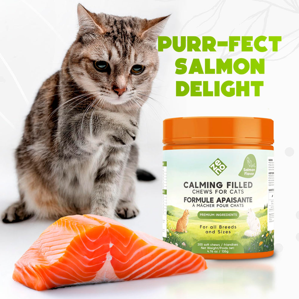 ZENO Hemp Calming Chews chat emballage pratique – idéal pour transporter et ranger.