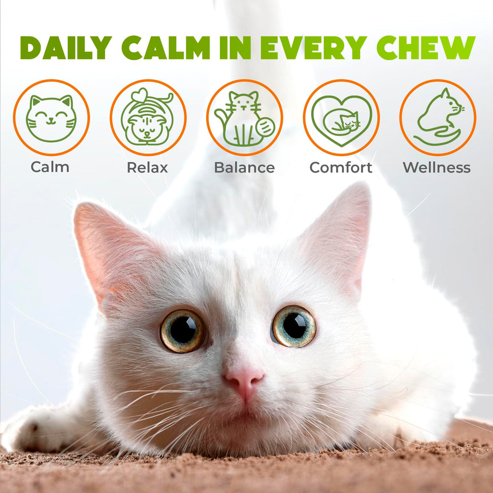 ZENO Hemp Calming Chews chat saumon bouchée – texture croquante et goût saumon.