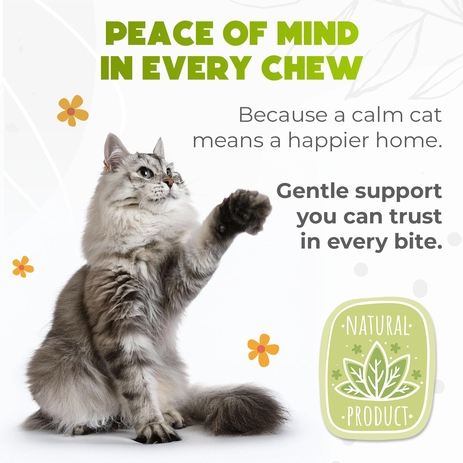 ZENO Hemp Calming Chews chat voyage en voiture – soutien au calme.