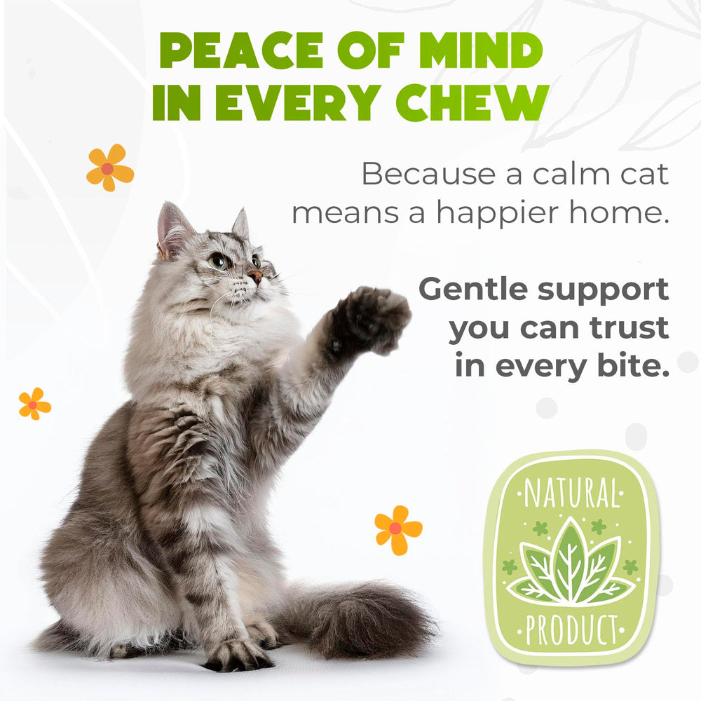 ZENO Hemp Calming Chews chat voyage en voiture – soutien au calme.