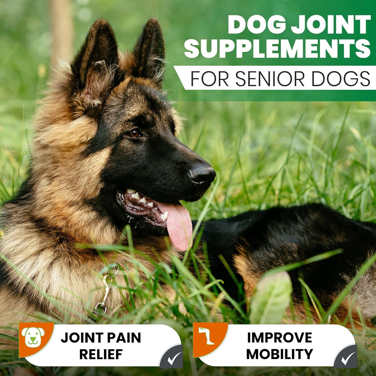 Zenpaws Absorption curcumine et piperine: efficacité renforcée.