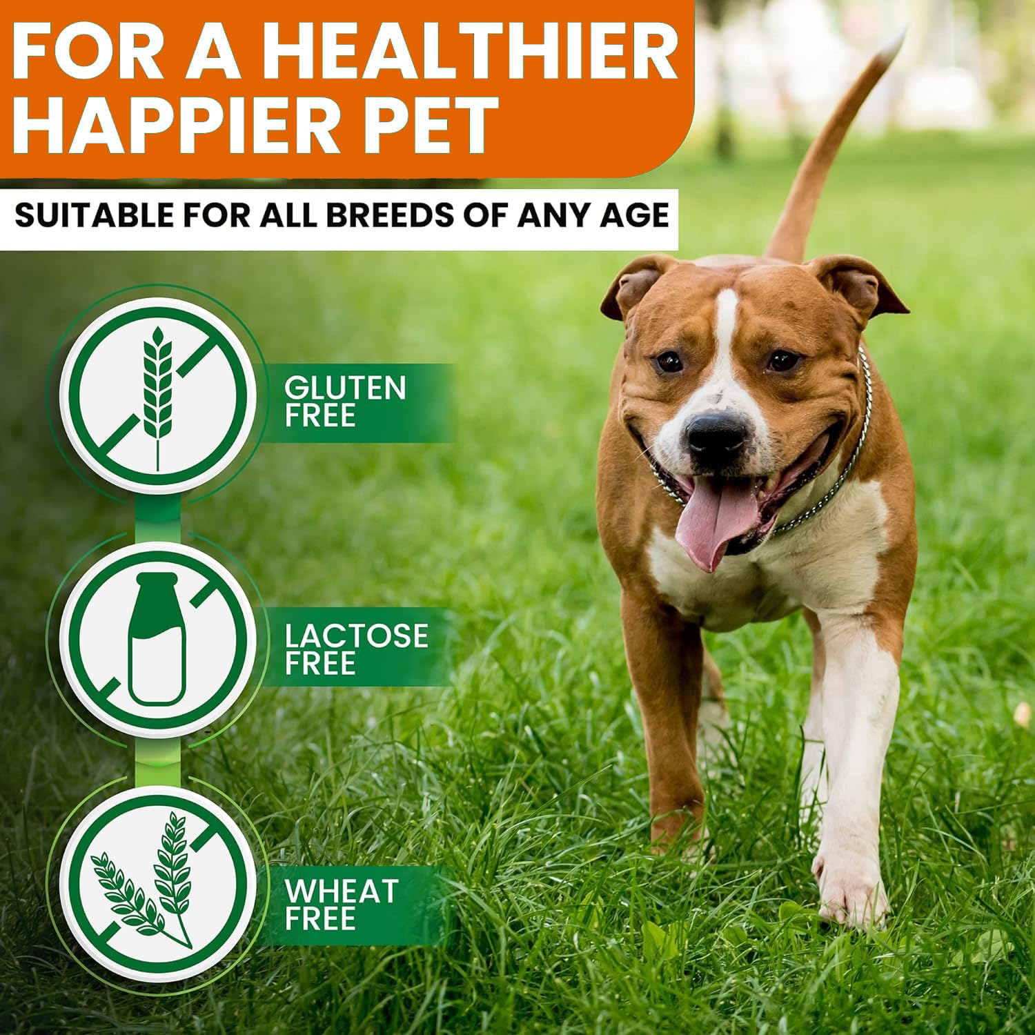Zenpaws Dosage quotidien: plan simple selon la taille.