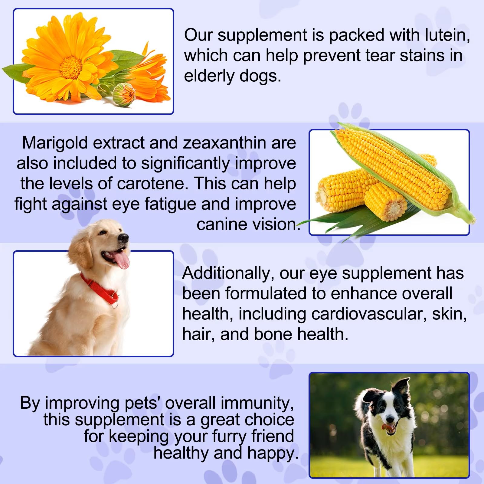 Zenpaws soin oculaire canin avec nutrition adaptée.