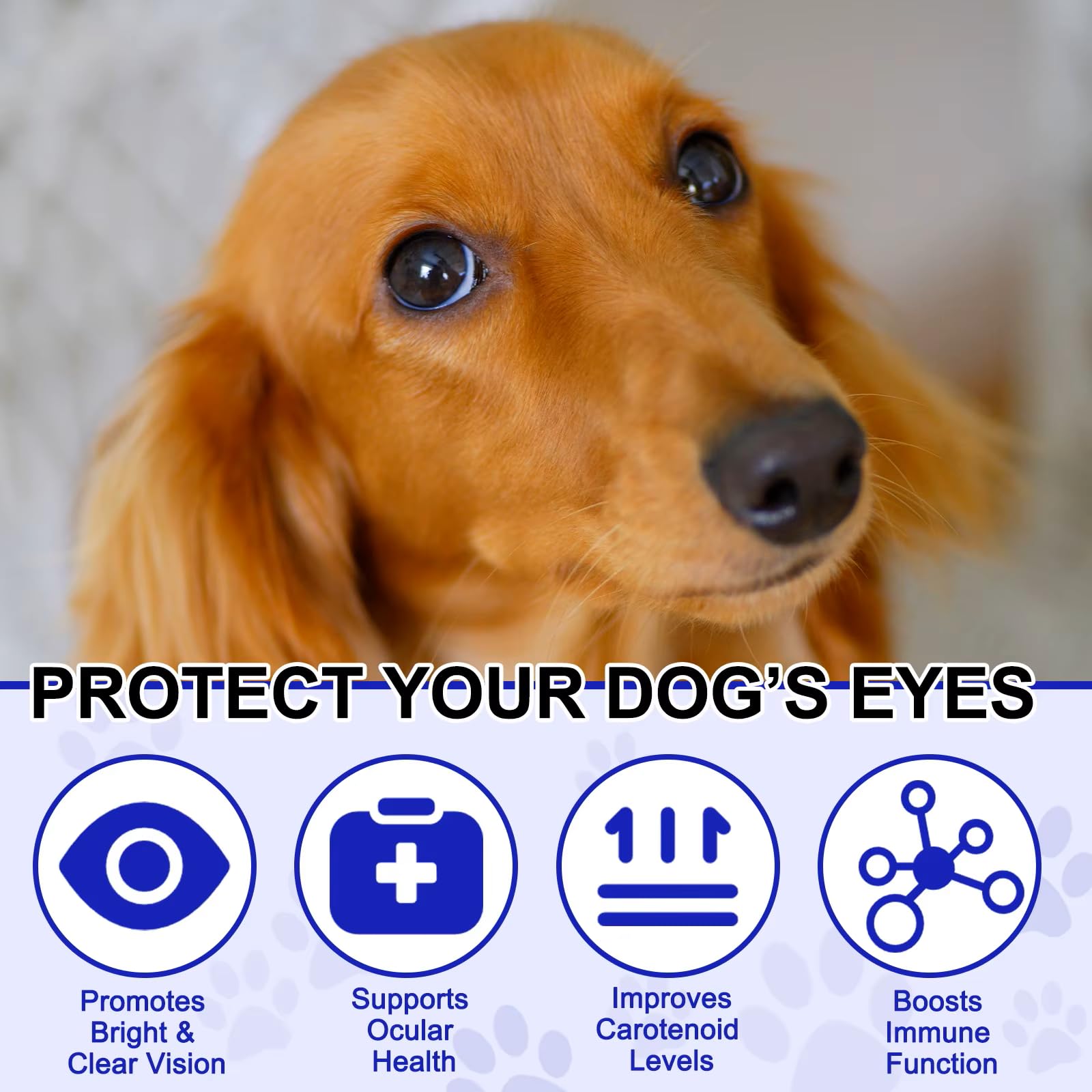 Zenpaws emballage 180 comprimés pour une longue utilisation.