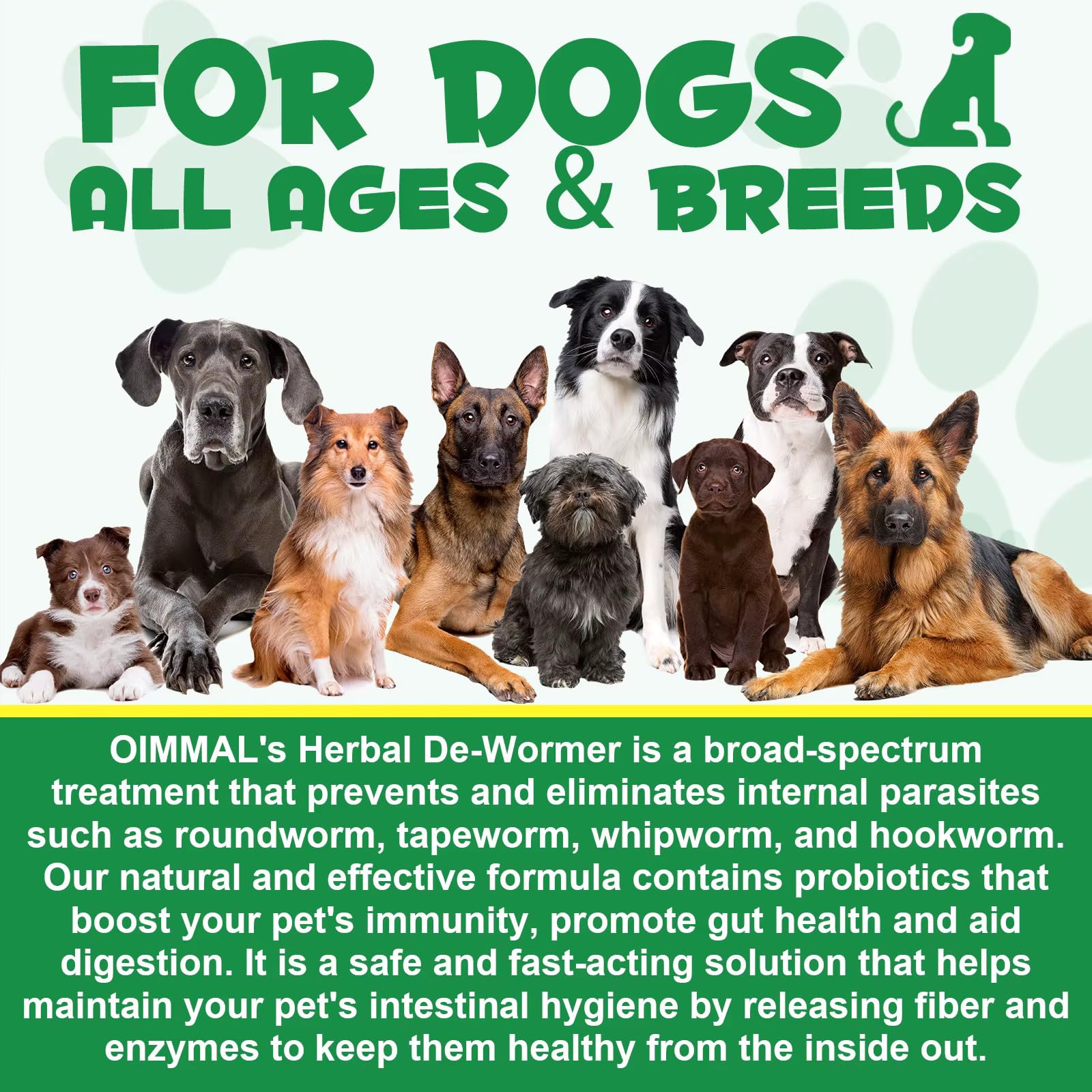 Zenpaws No More Worms – herbes naturelles pour équilibre intestinal sain