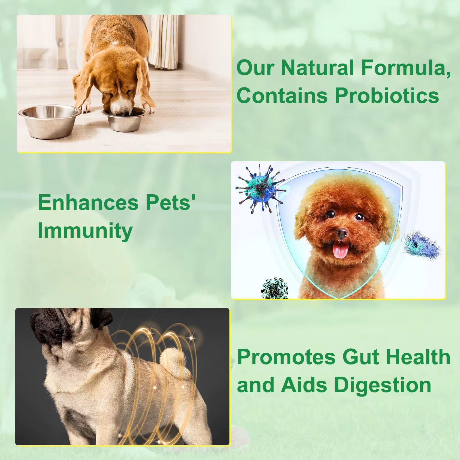 Zenpaws No More Worms – ajout dans la nourriture simplifie le régime