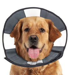ZenPet Cône de récupération: visibilité claire pour manger et boire après chirurgie.